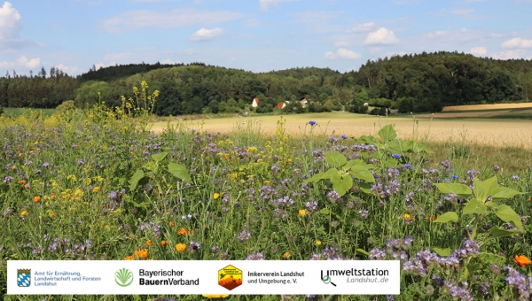 Einladung zum geführten Erlebnis-Rundgang Biodiversität