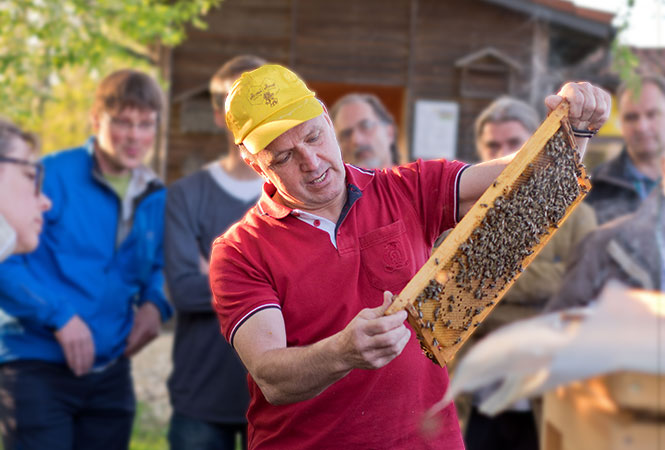 Imkern lernen